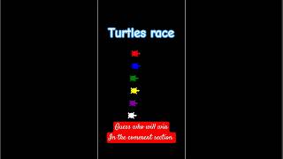 Python Turtle race #python #turtle #graphics