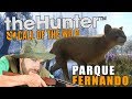 LE PUMA DE PARQUE FERNANDO ! - The Hunter DLC