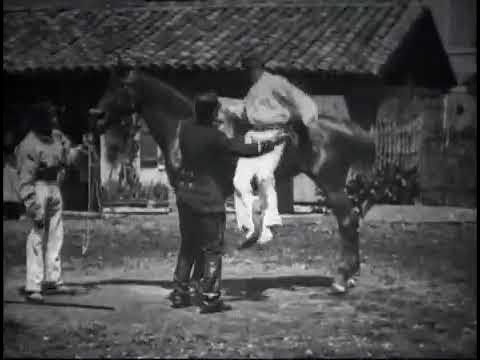 Вольтижировка фильм 1895