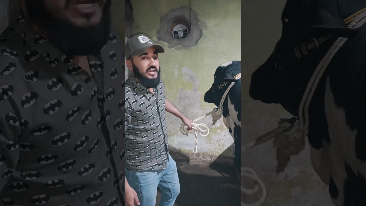 welcome to my YouTube channel 