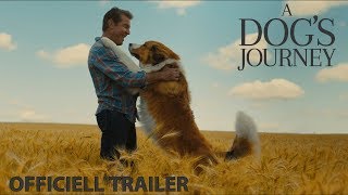 A Dog's Journey Trailer | Officiell trailer | Se filmen hemma