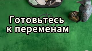 ЧЕМУ СУЖДЕНО СБЫТЬСЯ? 🫣 Узнаем у карт Таро!