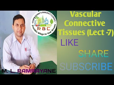 Vascular Connective Tissues || Ch Tissues || 9 CBSE / NTSE || Lect 7 || ML Ramrayane Sir