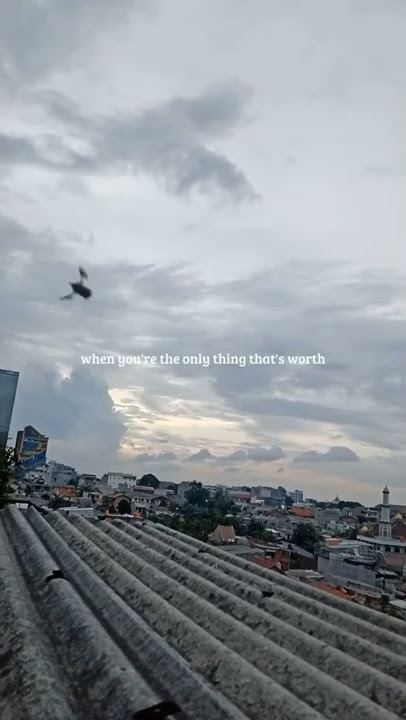 Rex Orange County - Untitled #shorts #tiktok #reels #musicon #trending