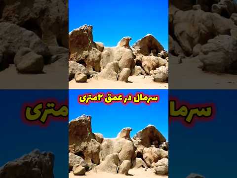 عقاب بال باز سرمال داره