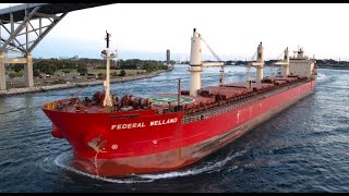 FEDERAL WELLAND - Upbound Port Huron, Michigan 9-16-2024