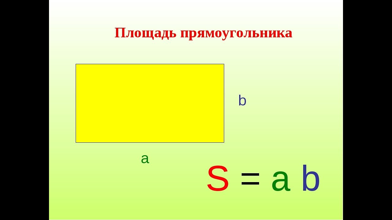 Площадь прямоугольника.  Площадь квадрата.