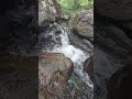 El sonido del agua que calma el alma 🌿💧