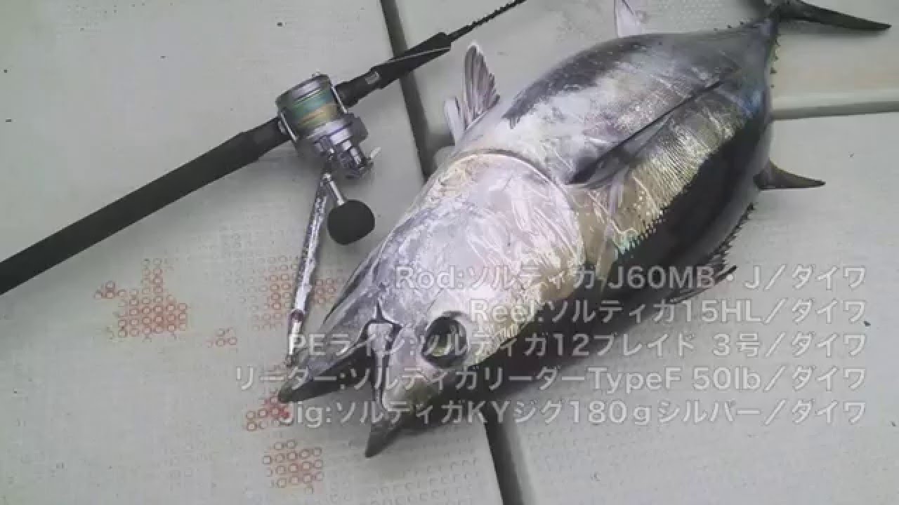 NEWソルティガでマグロとファイト！