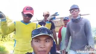 Goyang aisyah jatuh cinta pada jamilah