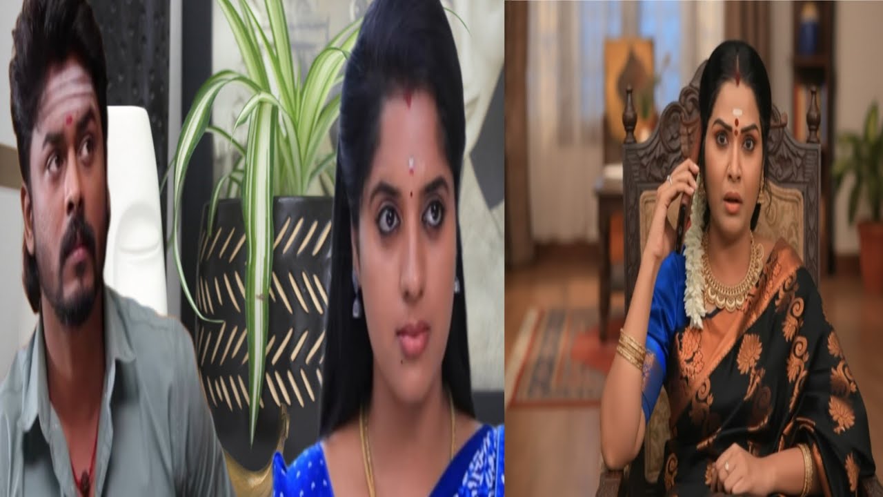 தனத்தின் மேல் ஏற்படும் கோபம் கதிரேசனை குறி வைக்கும் சொர்ணம்  Dhanam seriel 12/01/2026 With Upcoming 