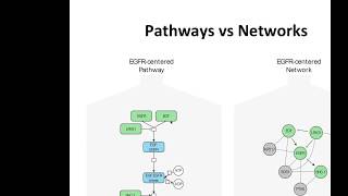Variants to Networks Part 3