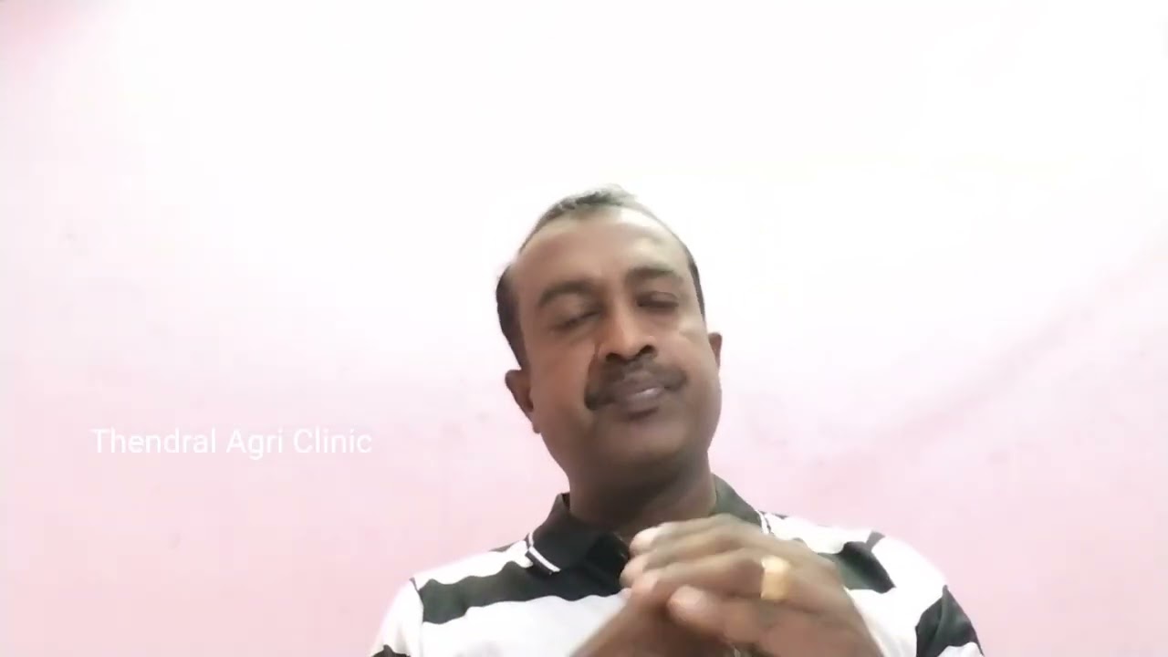 நெல் சாகுபடியில் கதிர்கள் நன்றாக வரவும் அதிக நெல் மணிகள் பிடிக்கவும் நன்றாக பால் ஏறவும் அதிக எடை வர