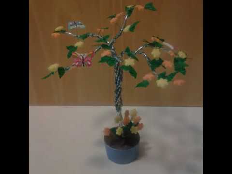 Spring sapling - Stefi64