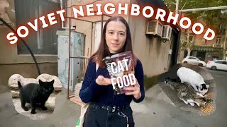 Eu alimentava gatos de rua em bairros sovieticos