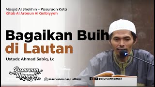 BAGAIKAN BUIH DI LAUTAN | Ustadz Ahmad Sabiq, Lc