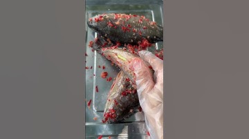 Cá rô mà nướng muối ớt như vầy là bao ngọt luôn nè | Thomanon