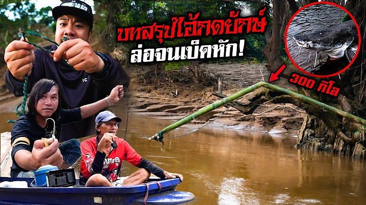 สุดตะลึง! ปลาเจ้าที่กระชากเบ็ดขนาดยักษ์หักครึ่ง