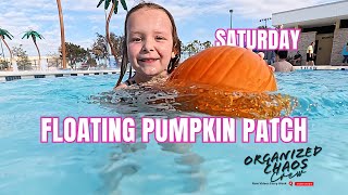 Saturday | Picking Pumpkins at a Floating Pumpkin Patch | Pumpkin Plunge 2024
