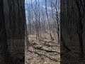 Two more weeks and I won’t be able to find the trail #outdoors#explore