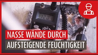 Kapillar aufsteigende Feuchte als Ursache für Feuchteschäden und Schimmelbildung