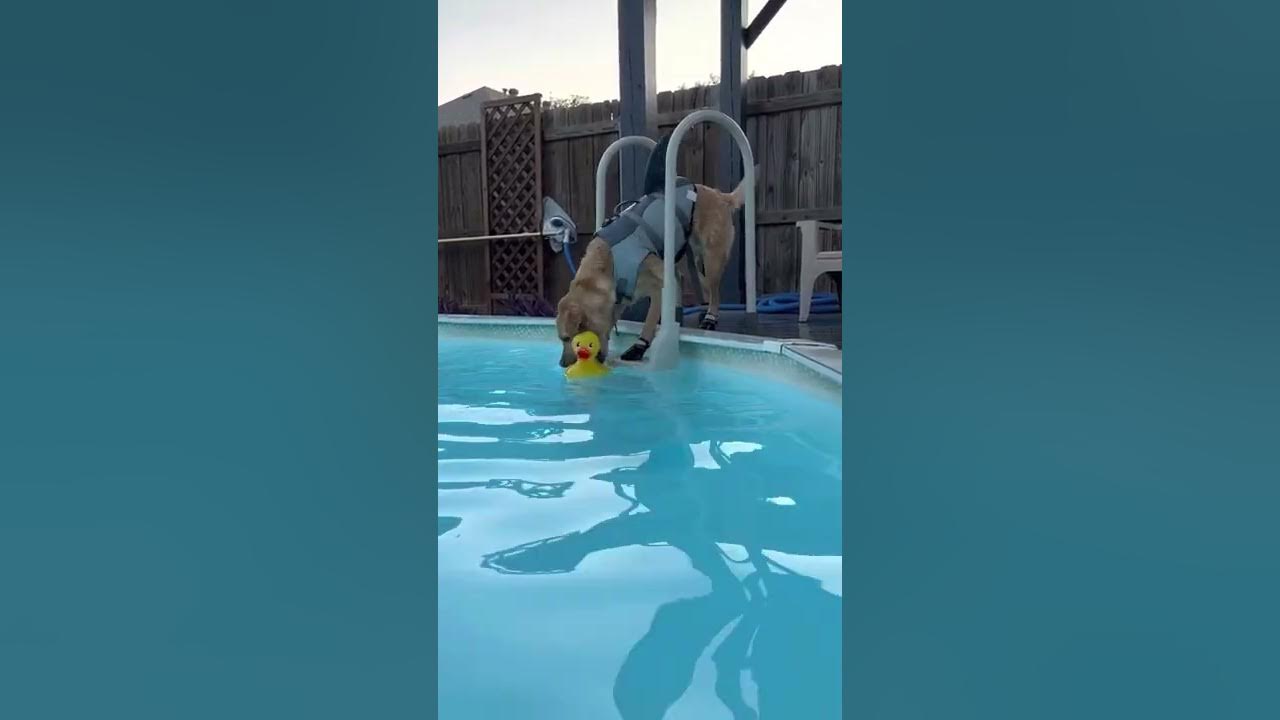 Eddie and his rubber ducky YouTube