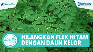 Cara Alami Hilangkan Flek Hitam di Wajah dengan Daun Kelor, Inilah Manfaat untuk Kesehatan