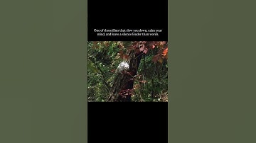 Thumbnail of Spring, Summer, Fall, Winter    and Spring 2003, directed by Kim Ki duk......👇description