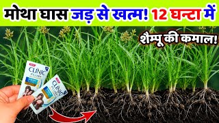 अब मोथा घास होगी जङ से खत्म| kharpatwar nashak dawa ka naam | kharpatwar ko jad se kaise khatam kare