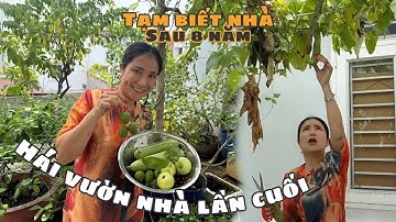 CÁT TƯỜNG dọn nhà, TẠM BIỆT ngôi nhà THÂN YÊU đã ở 8 NĂM!!!