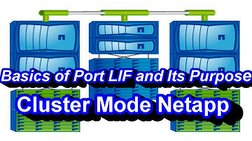 Intro on Ports Role, LIFs Role And Their Purpose