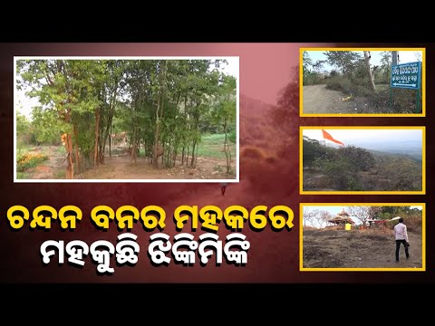ଐତିହାସିକ କିମ୍ବଦନ୍ତୀରେ ଭରା ଝିଙ୍କିମିଙ୍କି ପାହାଡ଼, ସୌନ୍ଦର୍ଯ୍ୟ ଉପଭୋଗ ପାଇଁ ଛୁଟେ ପର୍ଯ୍ୟଟକଙ୍କ ଭିଡ଼