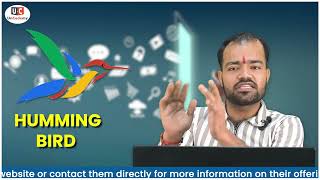 Google Hummingbird | A Complete Guide for Google Algorithm | Google Hummingbird updates | Uncodemy