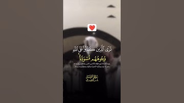 القارئ ياسر الدوسري سورة الزمر #قرآن #تلاوة_جميلة #explore #دويتو #آيات #لايك #تلاوة #duet #اكسبلور