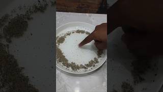 "#Amazing Surface Tension Experiment – Pepper Runs Away!"#Pepper and Soap Science Experiment | Easy