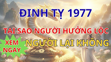 Bí Mật Động Trời Đinh Tỵ 1977: Tại Sao Người Hưởng Lộc Tổ Tiên, Người Lại Không? (Xem Ngay 8 Lý Do).