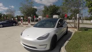 Tesla model 3 performance digs 0-60 0-100 mph