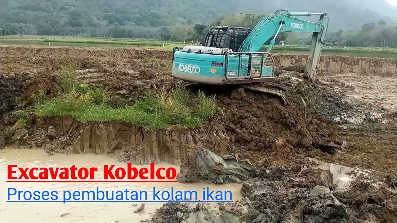 Создайте пруд с рыбой, используя Экскаватор || Пруд с тилапией