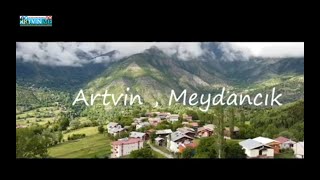 Artvin meydancık