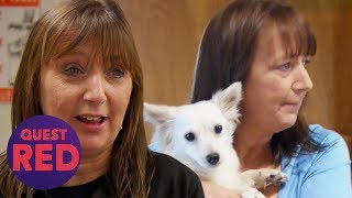 Senior Investigator Takes In Adorable Rescue Dogs  | Animal Cops Houston