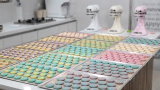 Making 500 macaron shells in bulk by myself 혼자 마카롱 꼬끄 500개 대량생산 하기ㅣSUGAR BEAN