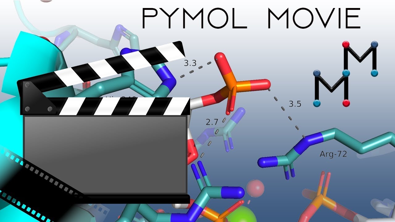 How To Make A Movie In Pymol