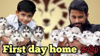 How to take care of a New puppy | Tamil