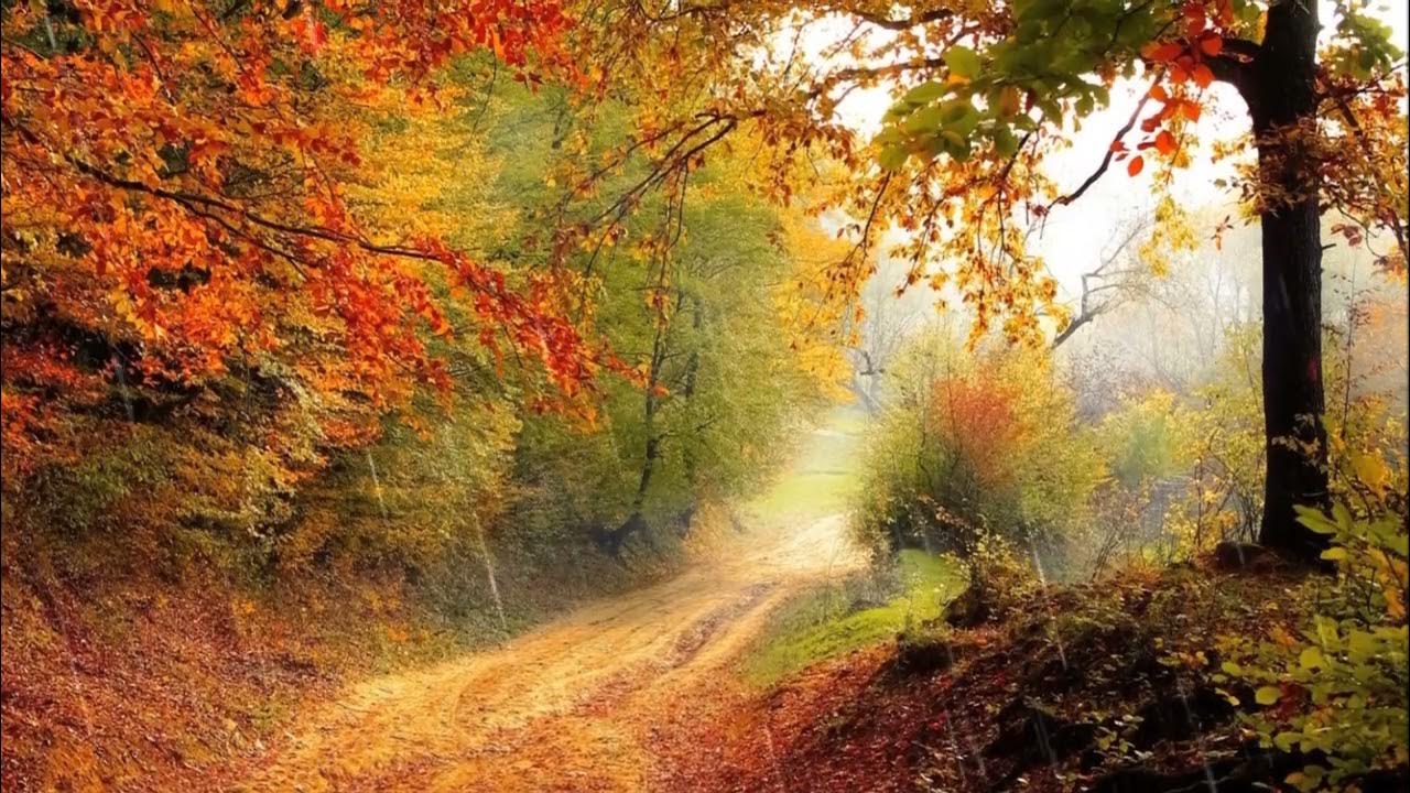 добрый день картинки красивые осень природа