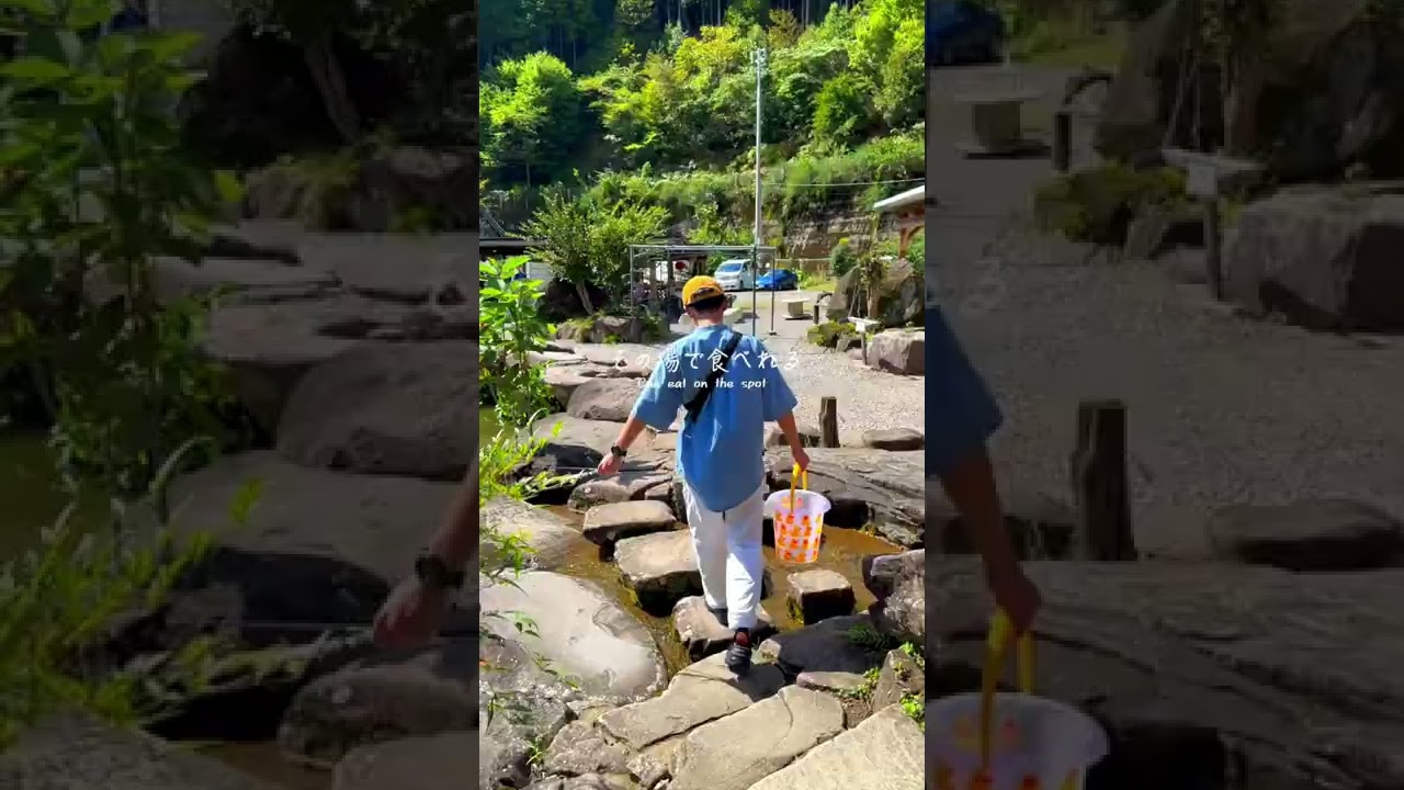 岐阜 観光 300円でマスが釣り放題で食べ放題の釣り堀が楽しすぎた Youtube