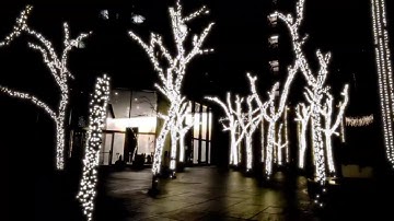 Yus Gz - Freddie No Jason🗡️ (Official Video) (Unreleased Snippet)