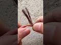 Wiar chill ne ka plus #shorts #viralvideo #shortsviral