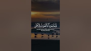 وخشعت الأصوات للرحمن فلا تسمع إلا همسا | تلاوة خاشعة | تلاوة هادئة تريح النفس