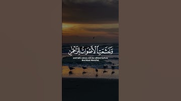 وخشعت الأصوات للرحمن فلا تسمع إلا همسا | تلاوة خاشعة | تلاوة هادئة تريح النفس
