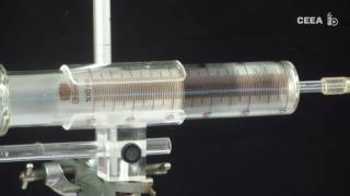 Oxygen in air   gas syringes and copper method
